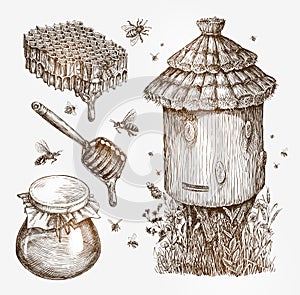 Honey, beekeeping, bees. Collection vintage sketch vector illustration photo