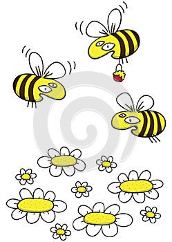 Honey Bees and Daisies hand drawn cartoon