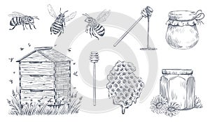 Honey bees engraving. Hand drawn beekeeping, vintage honey farm and honeyed bee pollen vector illustration set