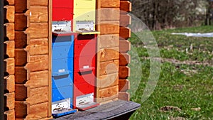 Honey bees flying near the wooden hive. Apiculture