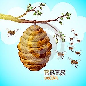 Honey bees and hive on tree branch background