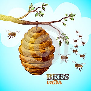Honey bees and hive on tree branch background illustration