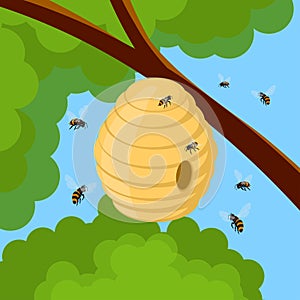 Honey bees and hive on tree branch. Vector illustration of bee house with a circular entrance. Insect life in nature.