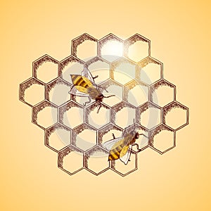 Honey bees and honeycomb background