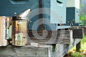 Honey bees react to the smoker next to a hive