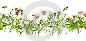 Honey bees in summer flowers, field grasses. Seamless floral border. Watercolor