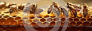 honey bees working on a golden honeycomb, capturing the intricate details and beauty of nature.