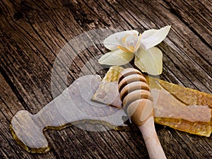 Honey with beeswax and flower