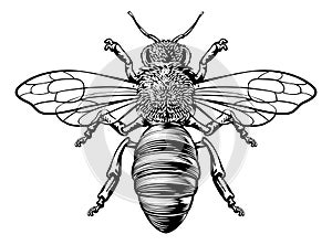 Honey Bumble Bee Woodcut Vintage Bumblebee Drawing photo