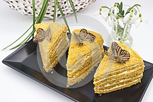 Honey Cake with Butterfly Decorations