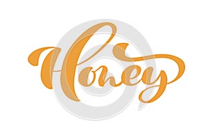 Honey calligraphy Vector lettering text. bee hand lettering word in orange color isolated on white background. Concept