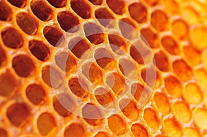 Honey cell