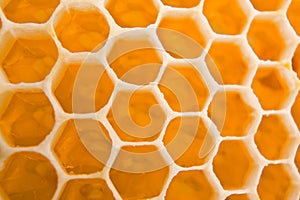 Honey cells