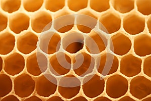 Honey cells