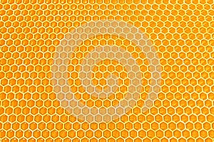 Honey cells