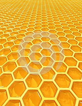 Honey cells