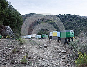 honey colecting farm in mountains, bees boxes in field