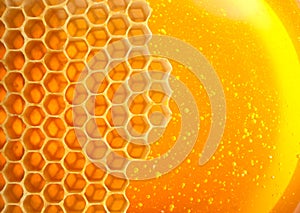 Honey in comb