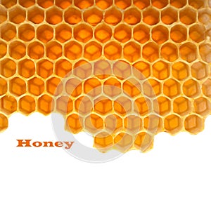 Honey in comb