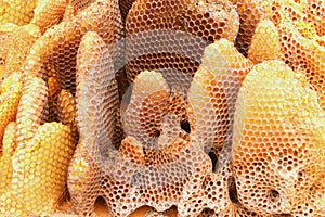 Honey Comb