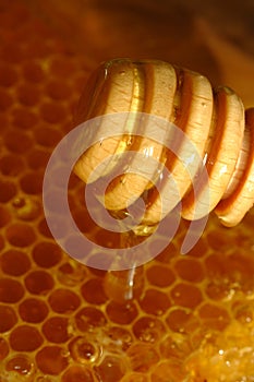 Honey comb and Drizzler