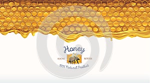 Honey comb with honey, and a symbolic simplified image of a bee.