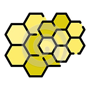 Honey comb icon color outline vector