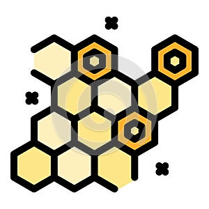 Honey comb icon vector flat