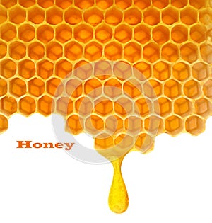 Honey in comb