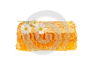 Honey in the comb with a sprig of camomile.