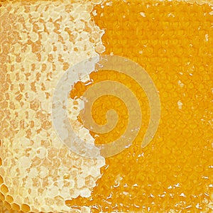 Honey comb texture