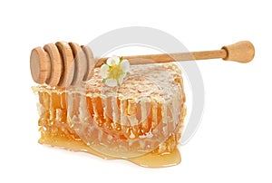 Honey comb