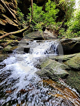 Honey Creek forest nature waterfall art