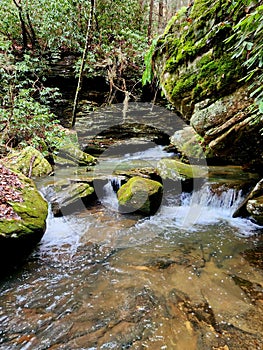 Honey Creek nature waterfall art