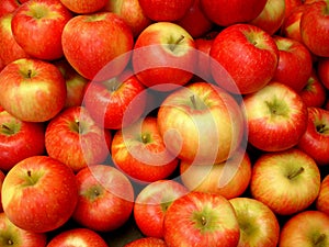 Honey Crisp Apples photo