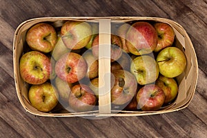 Honey Crisp Apples in a Basket