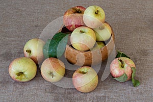 Honey crisp apples on brown tablecloth