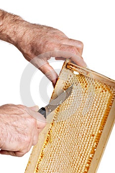 Honey cutter in honeycombs with a wooden frame on a white background