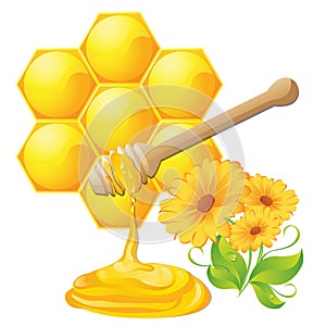 Honey dipper with bee honeycomb