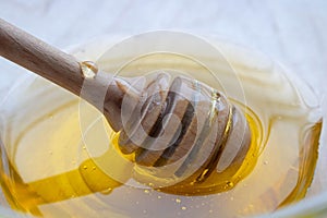 Honey dipper on the bee honeycomb background. Honey tidbit in glass jar and honeycombs wax