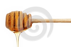 Honey Dipper Dripping Honey photo