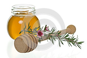 Honey with dipper and manuka flower (Leptospermum)