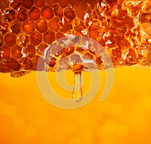 Honey dripping from comb on color background, closeup.