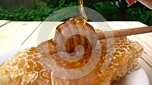 Honey dripping from honey dipper on honeycomb, over yellow background. slow motion