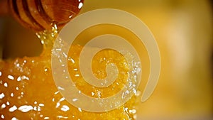 Honey dripping from honey dipper on honeycomb, over yellow background. Thick organic honey dipping from the wooden honey