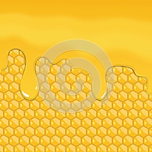 Honey dripping isolated on honey combs, vector