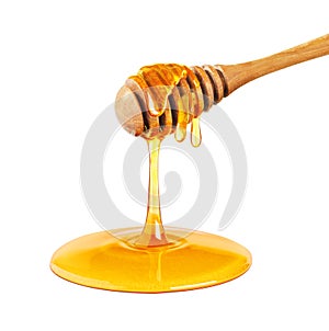 Honey dripping isolated on a white background, Dripped honey, Honey dipper photo