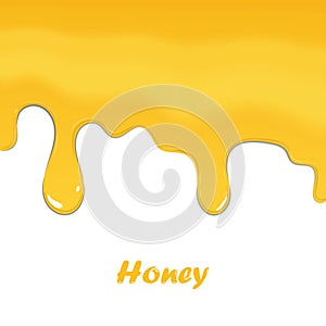 Honey dripping isolated on white background, vector