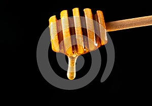 Honey dripping, pouring from a honey dipper on a black isolated background. Healthy organic thick honey dipping from a