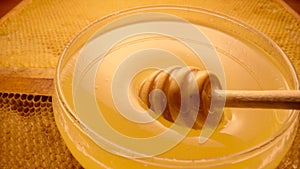 Honey dripping, pouring from honey dipper into a glass bowl standing on honeycombs. Healthy organic thick honey dipping